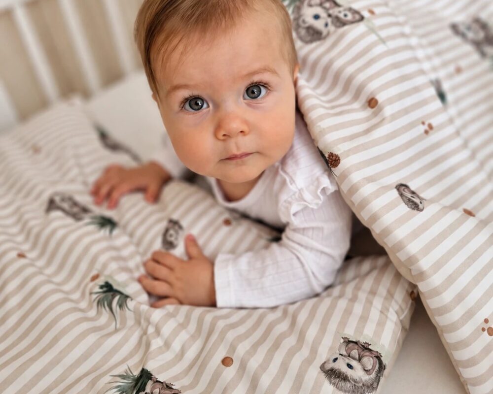 Children's Duvet and Pillow Set – Hedgehogs